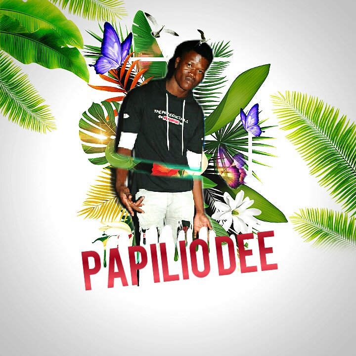 Papilio Dee